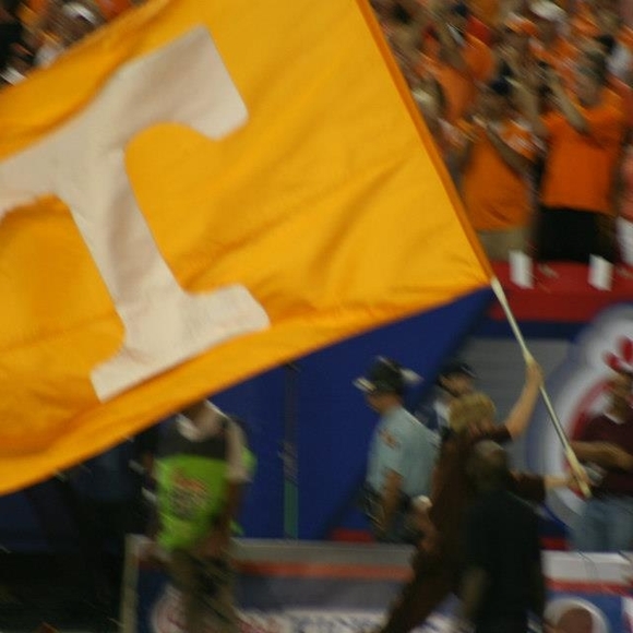 Meet your Posher, David - Picture 1 of 1